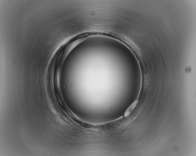 X0000091290580200708101248