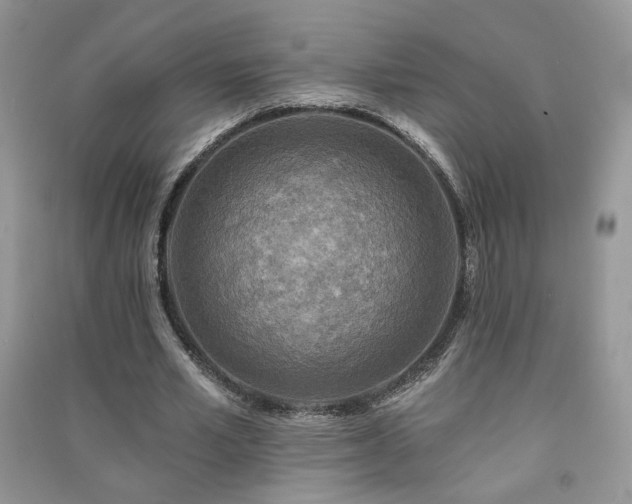 X0000091290581200708101248