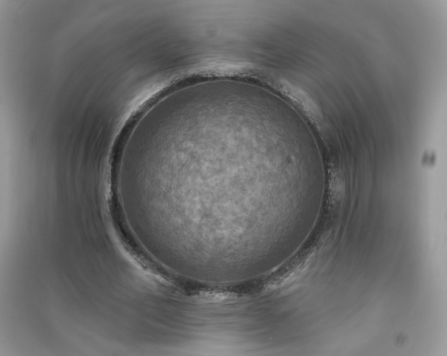 X0000091290582200708101248