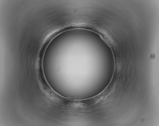 X0000091290583200708101248