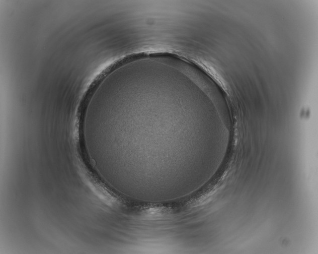 X0000091290584200708101248