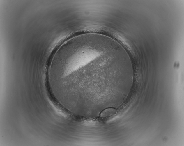 X0000091290586200708101248