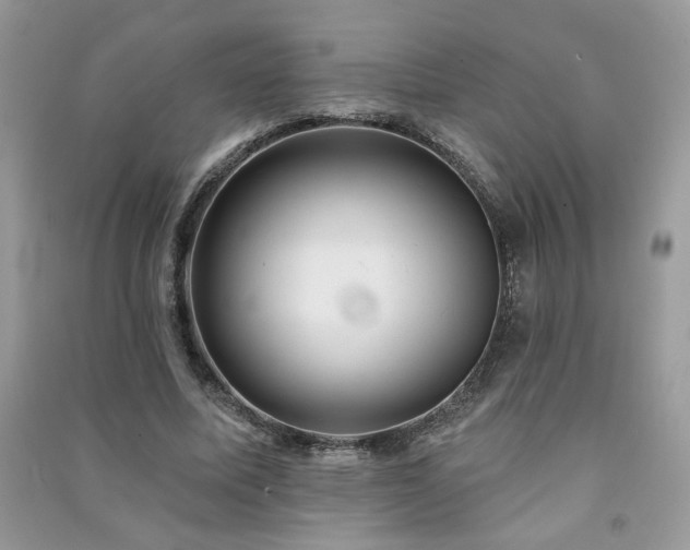 X0000091290587200708101248