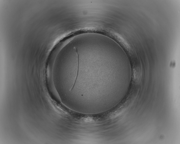 X0000091290588200708101248