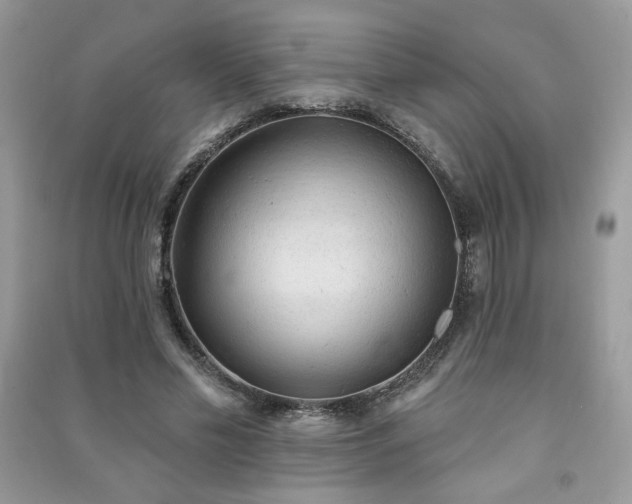 X0000091290589200708101248