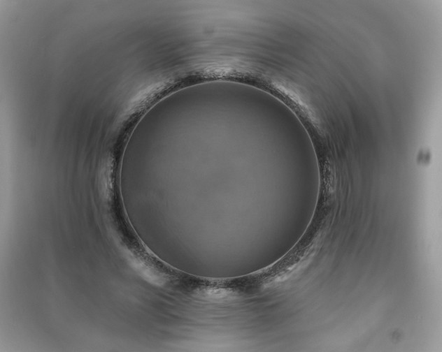 X0000091290590200708101248