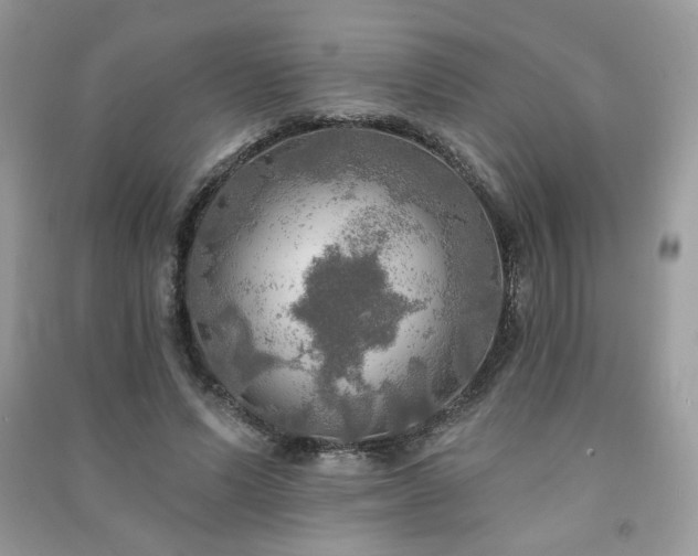 X0000091290591200708101248