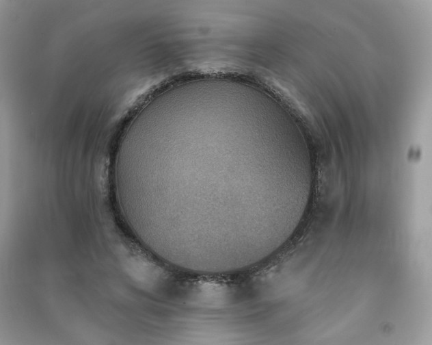 X0000091290592200708101248