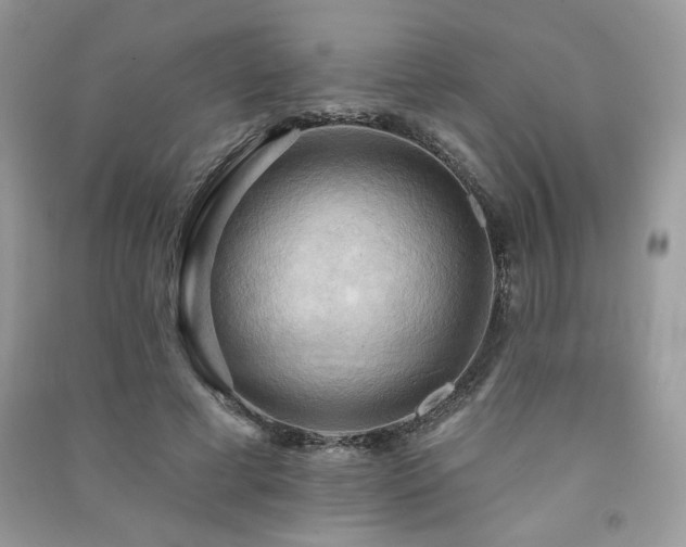 X0000091290593200708101248