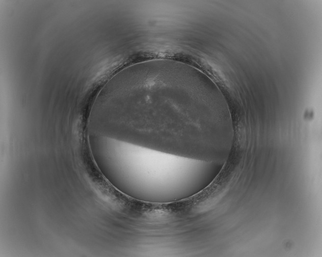 X0000091290594200708101247