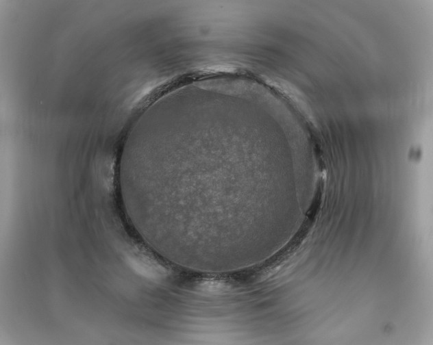 X0000091290596200708101247