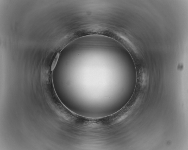 X0000091290597200708101247