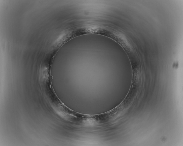 X0000091290598200708101247