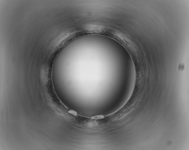 X0000091290600200708101247