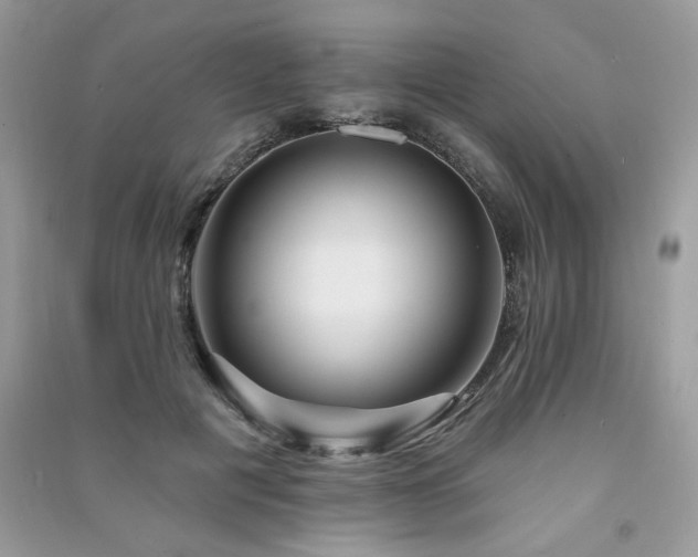 X0000091290601200708101247