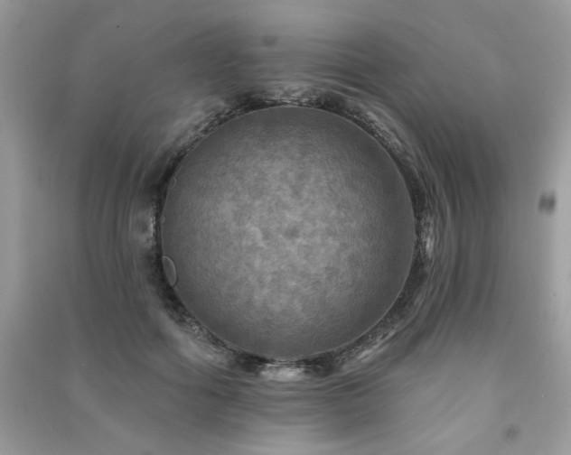 X0000091290602200708101247