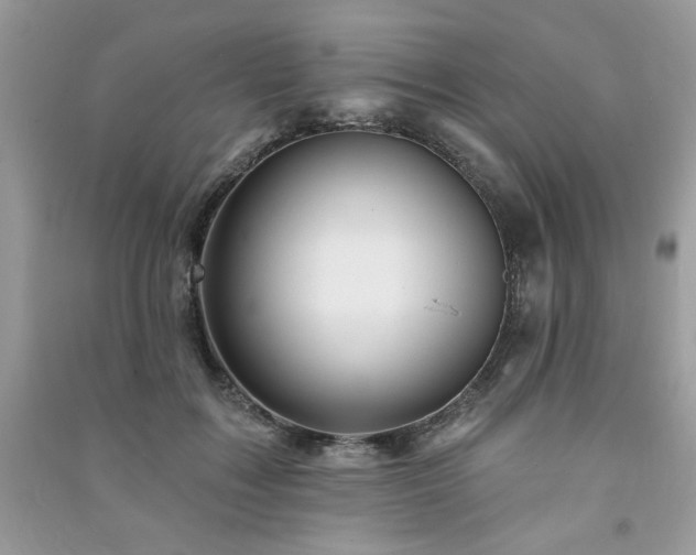 X0000091290603200708101247