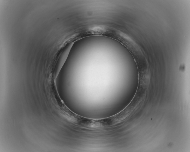 X0000091290604200708101247