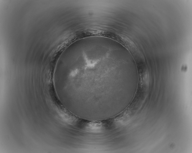 X0000091290606200708101247