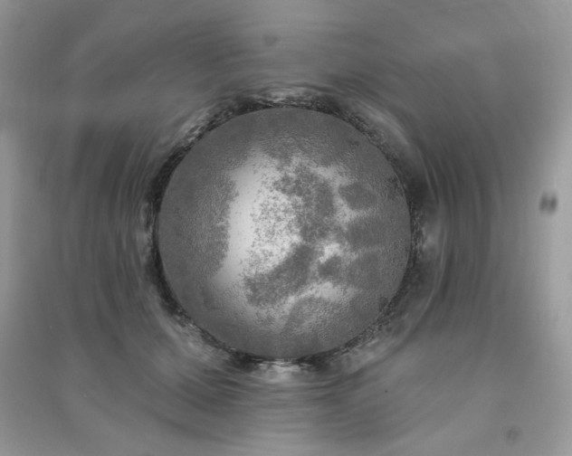 X0000091290607200708101247