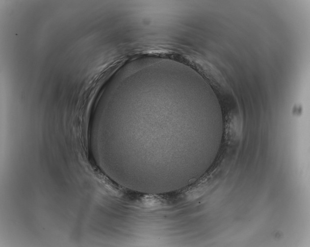 X0000091290608200708101247