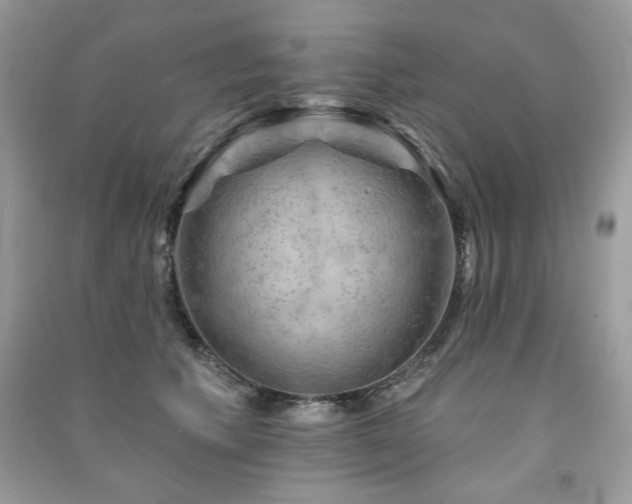 X0000091290609200708101247