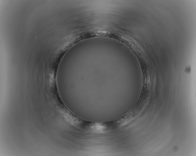 X0000091290610200708101247