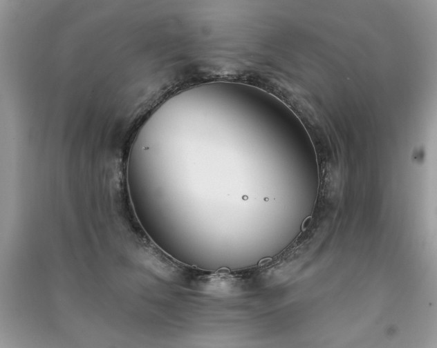 X0000091290612200708101247