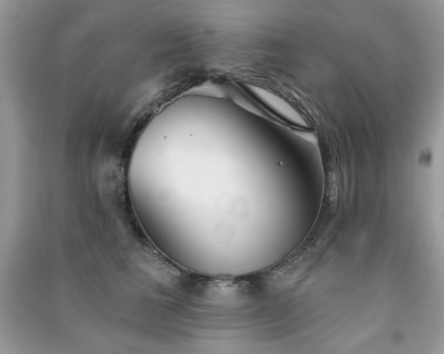 X0000091290613200708101247