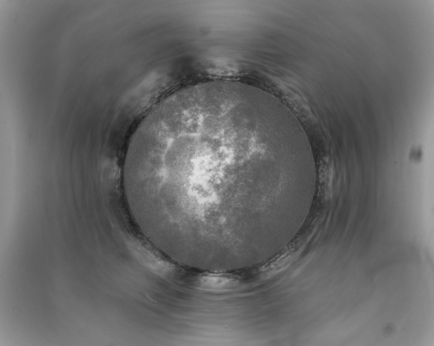 X0000091290614200708101247