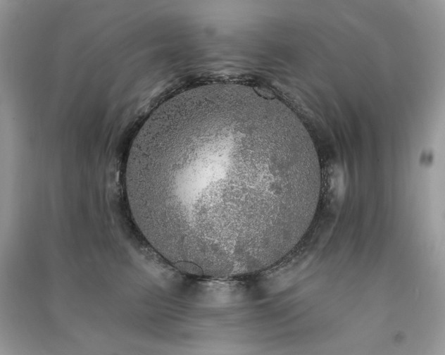 X0000091290615200708101247