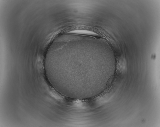 X0000091290616200708101247