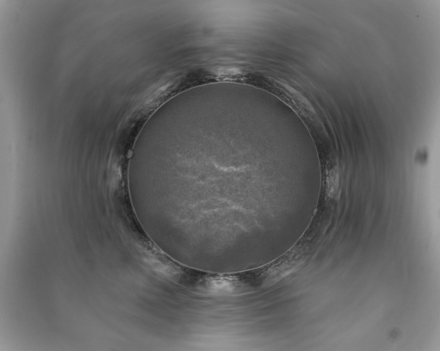 X0000091290618200708101247