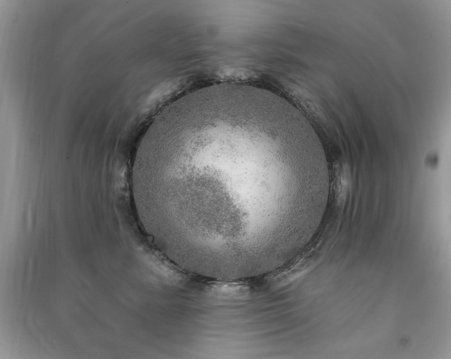 X0000091290619200708101247