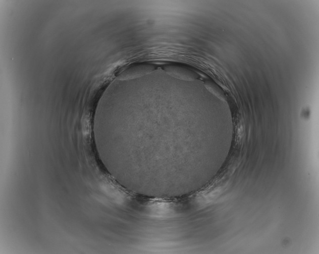 X0000091290620200708101247