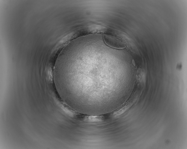 X0000091290622200708101247