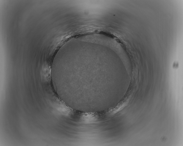 X0000091290624200708101247