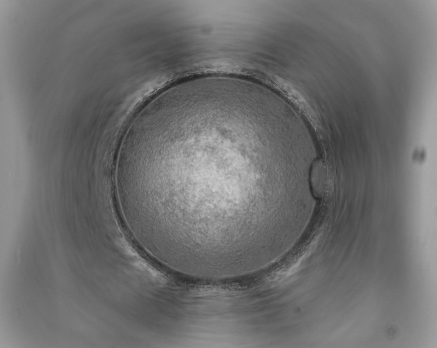 X0000091290625200708101247