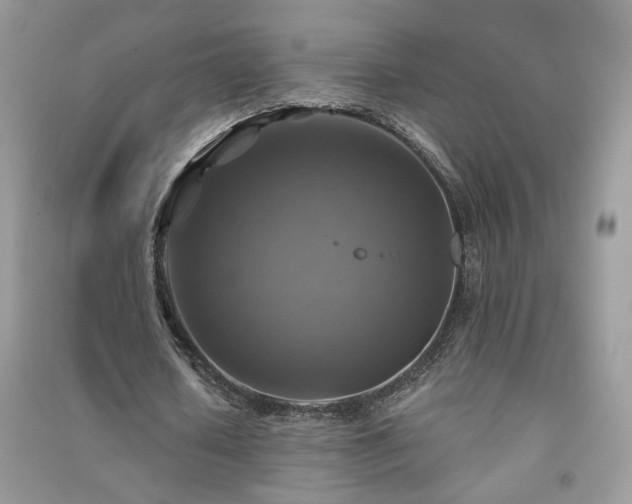 X0000091290626200708101247