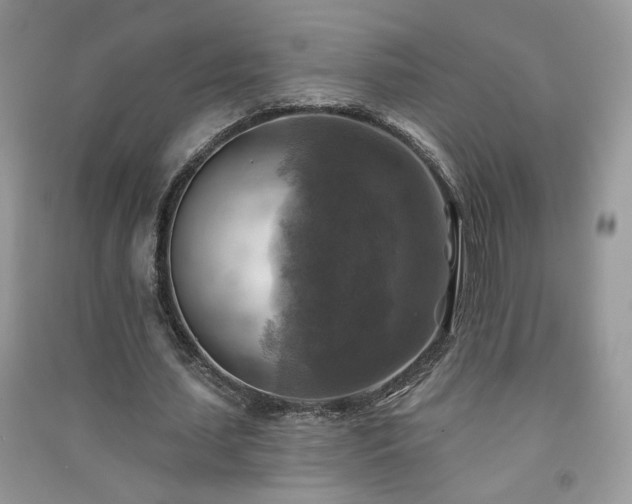 X0000091290627200708101247