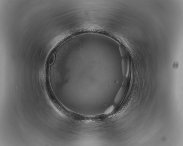 X0000091290630200708101247