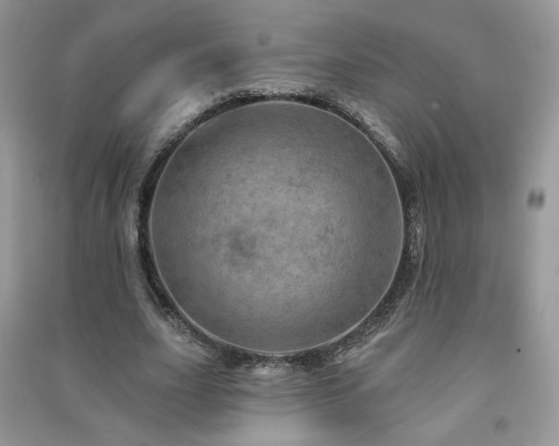 X0000091290631200708101247