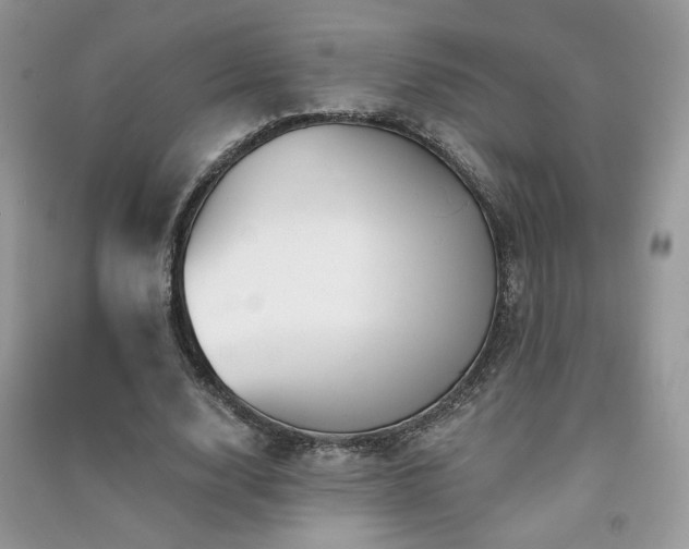 X0000091290632200708101247