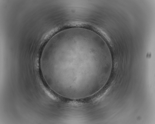 X0000091290633200708101247