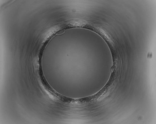 X0000091290634200708101247