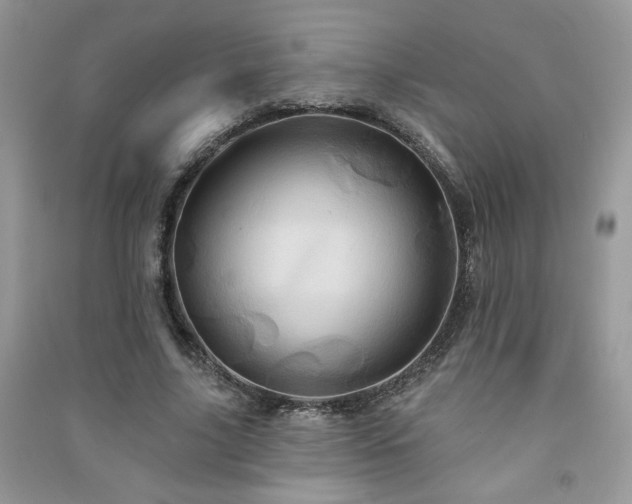 X0000091290635200708101247