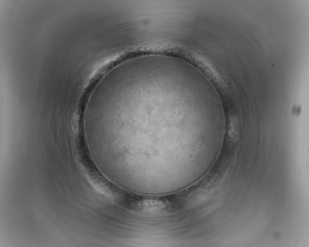 X0000091290636200708101247