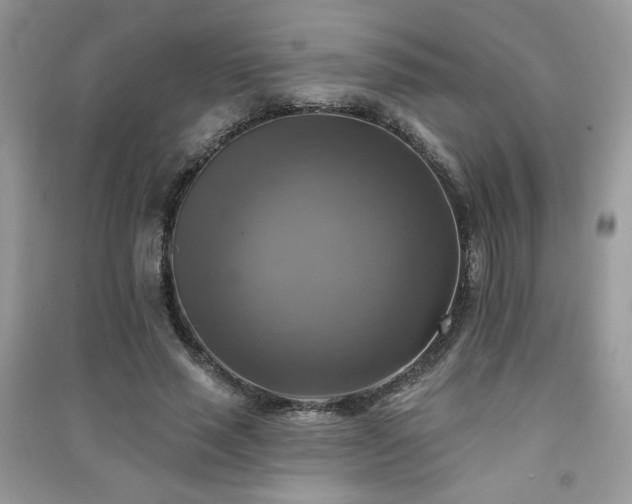 X0000091290637200708101247