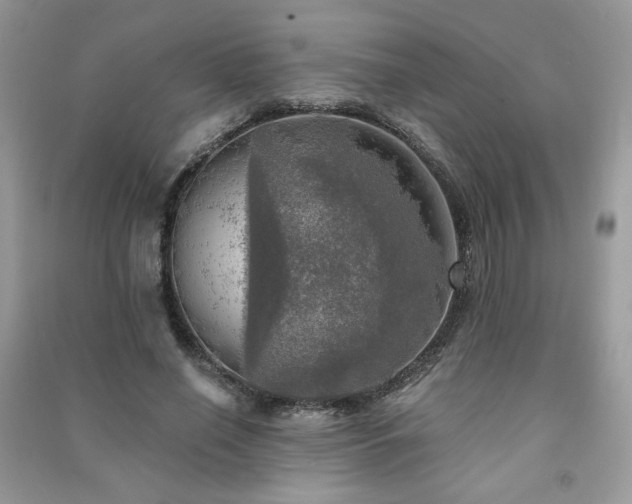 X0000091290638200708101247