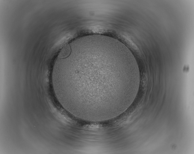 X0000091290639200708101247